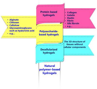 Stimuli-responsive hydrogel based on natural polymers for breast cancer